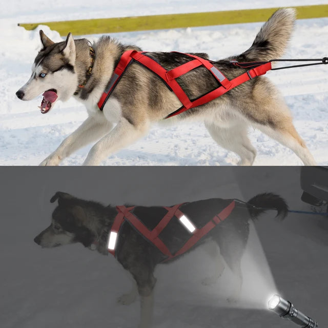 Skijoring harness For Large Dogs Waterproof