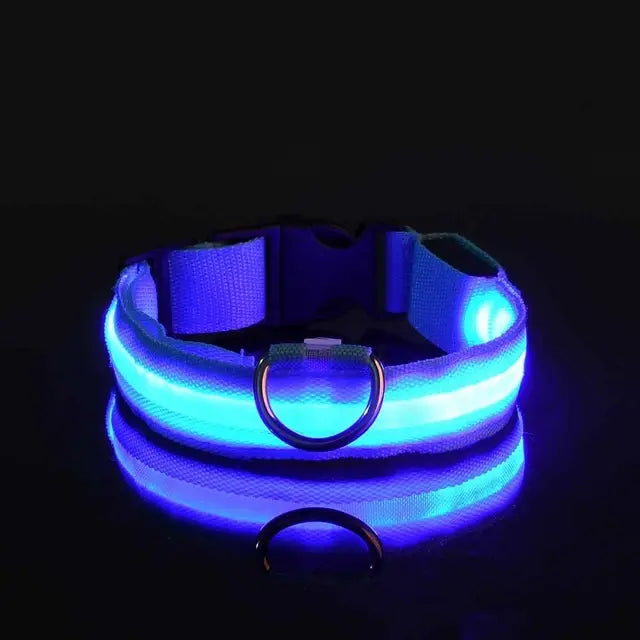 Led-light Collar