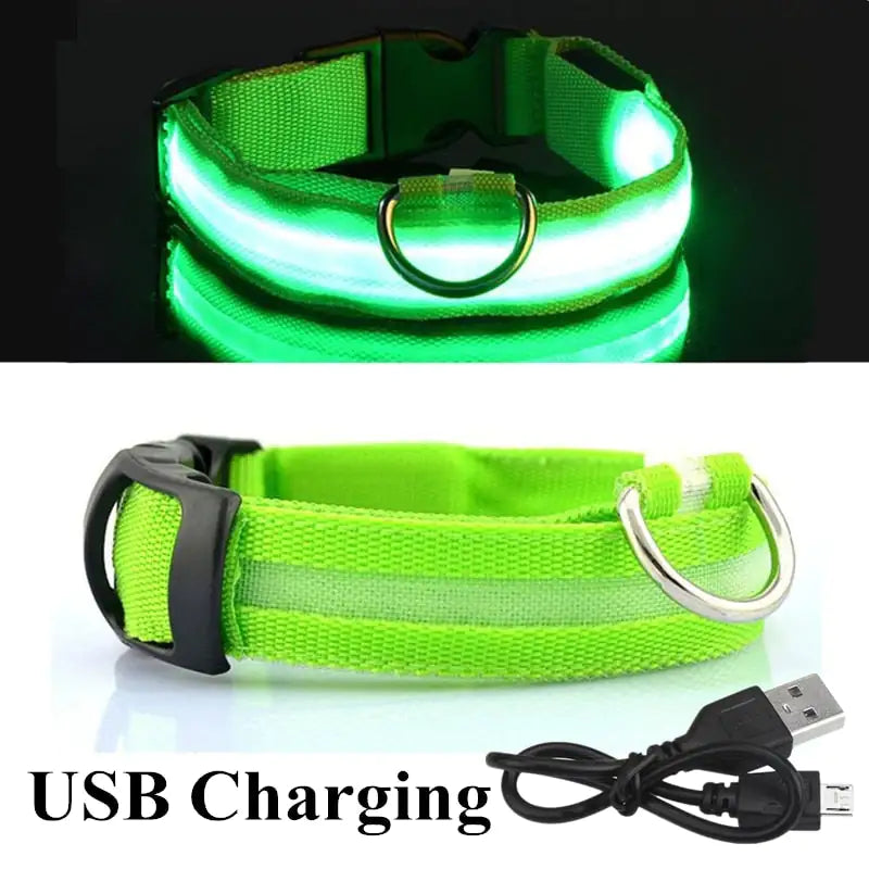 Rechargable Flashing Dog Collar