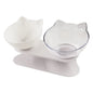 Double Cat Bowl With Raised Stand